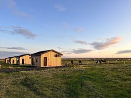 Sleeping with the Horses