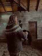 Sleeping with the Horses