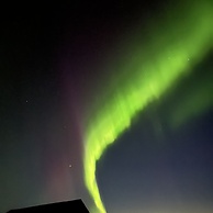 Sleeping with the Horses