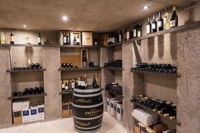 Ayres de Uco Lodge & Wine Lovers