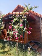 Riviera Bungalow Evleri Demre