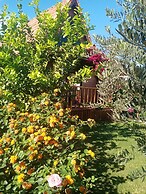 Riviera Bungalow Evleri Demre