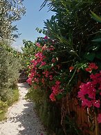 Riviera Bungalow Evleri Demre