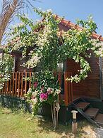Riviera Bungalow Evleri Demre