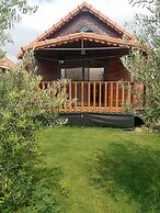 Riviera Bungalow Evleri Demre