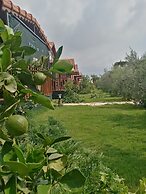 Riviera Bungalow Evleri Demre