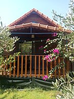 Riviera Bungalow Evleri Demre