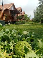 Riviera Bungalow Evleri Demre