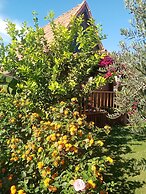 Riviera Bungalow Evleri Demre