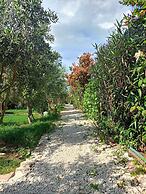 Riviera Bungalow Evleri Demre
