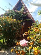 Riviera Bungalow Evleri Demre