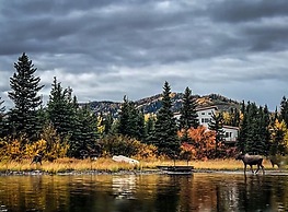 Denali Lakeview Inn