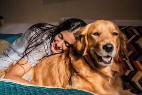 Parijat Private Pool Villa 1, 2 and 3 BHK