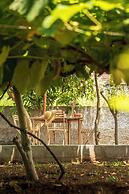 Vacations in the Countryside - Casinha dos Canhas