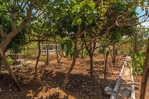 Vacations in the Countryside - Casinha dos Canhas