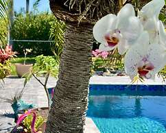 Awesome Location with Dock, Pool, Bicycles & Kayaks by RedAwning