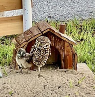 Awesome Location with Dock, Pool, Bicycles & Kayaks by RedAwning