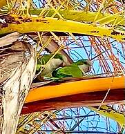 Awesome Location with Dock, Pool, Bicycles & Kayaks by RedAwning