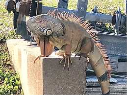 Awesome Location with Dock, Pool, Bicycles & Kayaks by RedAwning