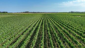 Emera Wine Resort Claudio Quarta