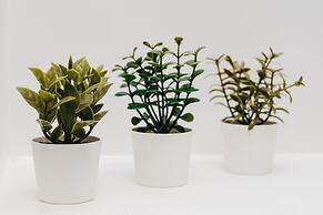 Heart of the City Apartment in Sheffield