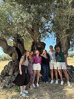 The Green House by Santiago de Alfama