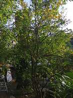 Charming Apartment Center Split Terrace & Parking