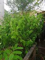 Charming Apartment Center Split Terrace & Parking