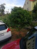 Charming Apartment Center Split Terrace & Parking