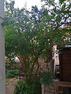 Charming Apartment Center Split Terrace & Parking