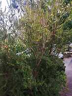 Charming Apartment Center Split Terrace & Parking