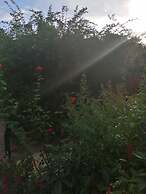 Charming Apartment Center Split Terrace & Parking