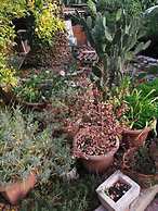 Charming Apartment Center Split Terrace & Parking