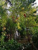 Charming Apartment Center Split Terrace & Parking