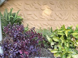 Breimba Street Apartments