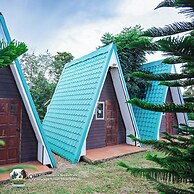 Yellowstone Cheewa View