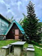 Yellowstone Cheewa View