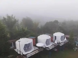 Yellowstone Cheewa View