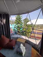 Yellowstone Cheewa View