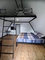 Yellowstone Cheewa View