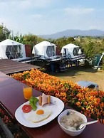 Yellowstone Cheewa View