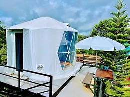 Yellowstone Cheewa View