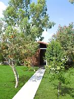 Alicra Hotel Çıralı