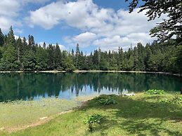 Mobile Home - Alpha Campers Montenegro - Our Red Westfalia Bus