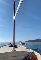 Mobile Home - Alpha Campers Montenegro - Our Red Westfalia Bus