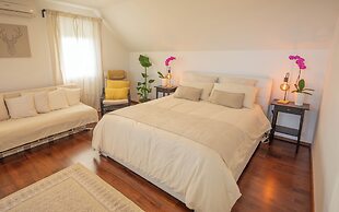 Vineyard cottage Jelenov hrib