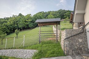 Vineyard cottage Jelenov hrib