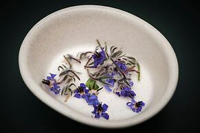 Kimpton Virgilio by IHG