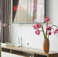 Pegasy Apartments & Travel