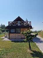 Vineyard cottage Vinska grajska kašča
